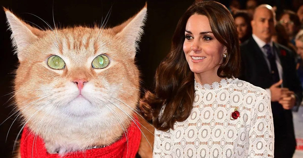 Fans shed tears as they watched the cat choose Princess Catherine and her final decision