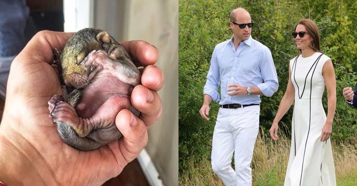 A chance encounter, Princess Catherine saw a strange creature and was shocked when she realized who it was